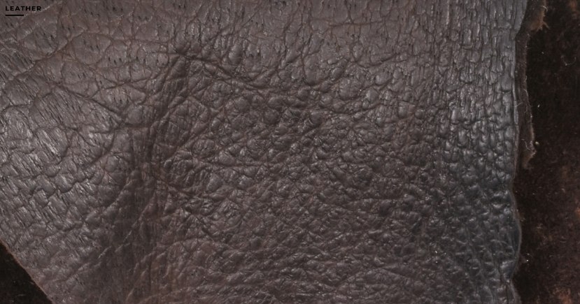 What Is Peccary Leather (featured image)