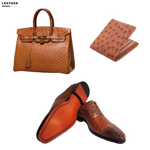 Popular Uses and Applications of Ostrich Leather