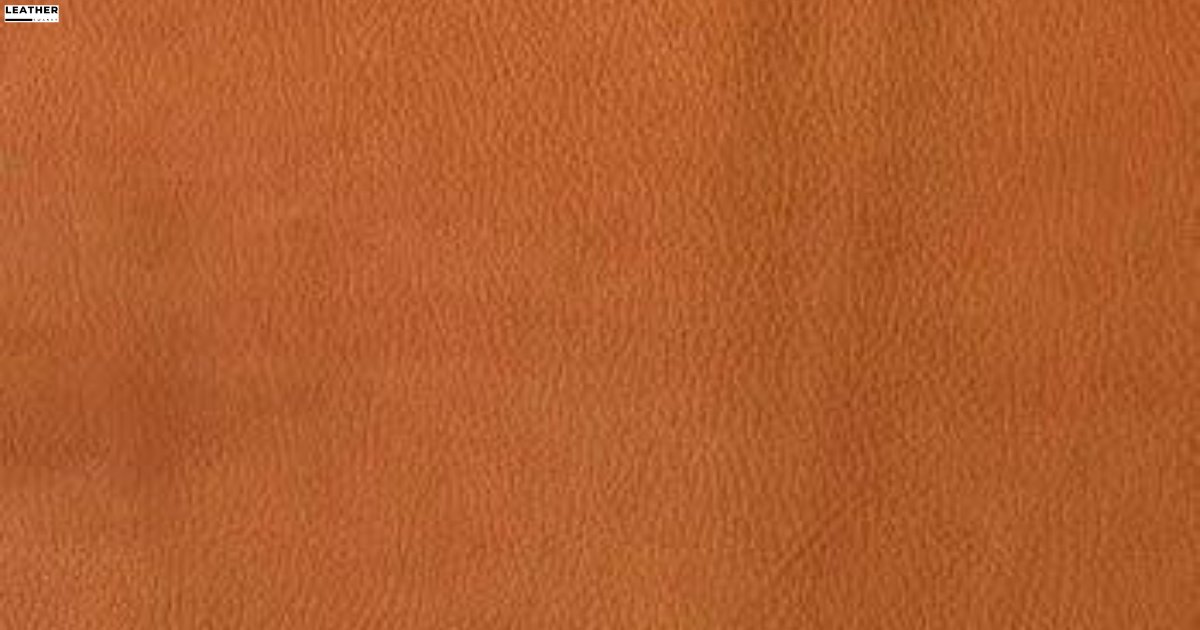 What Is Deerskin Leather? Everything You Need To Know - LEATHER SWANKY