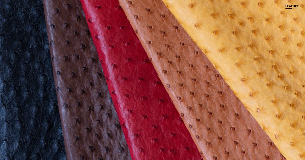 what is Ostrich Leather (featured image)