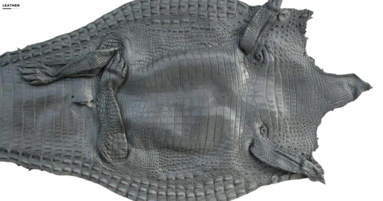 Why Alligator Leather Is Top Notch?