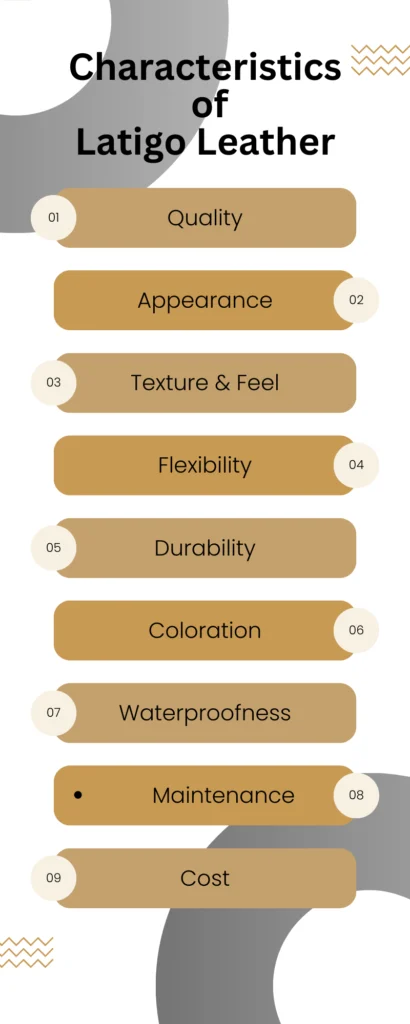 characteristics of latigo leather